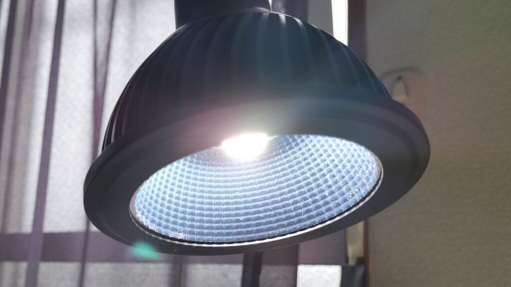 育成ライト（下）の画像