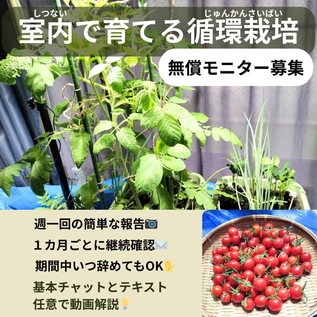 モニター応募の画像です