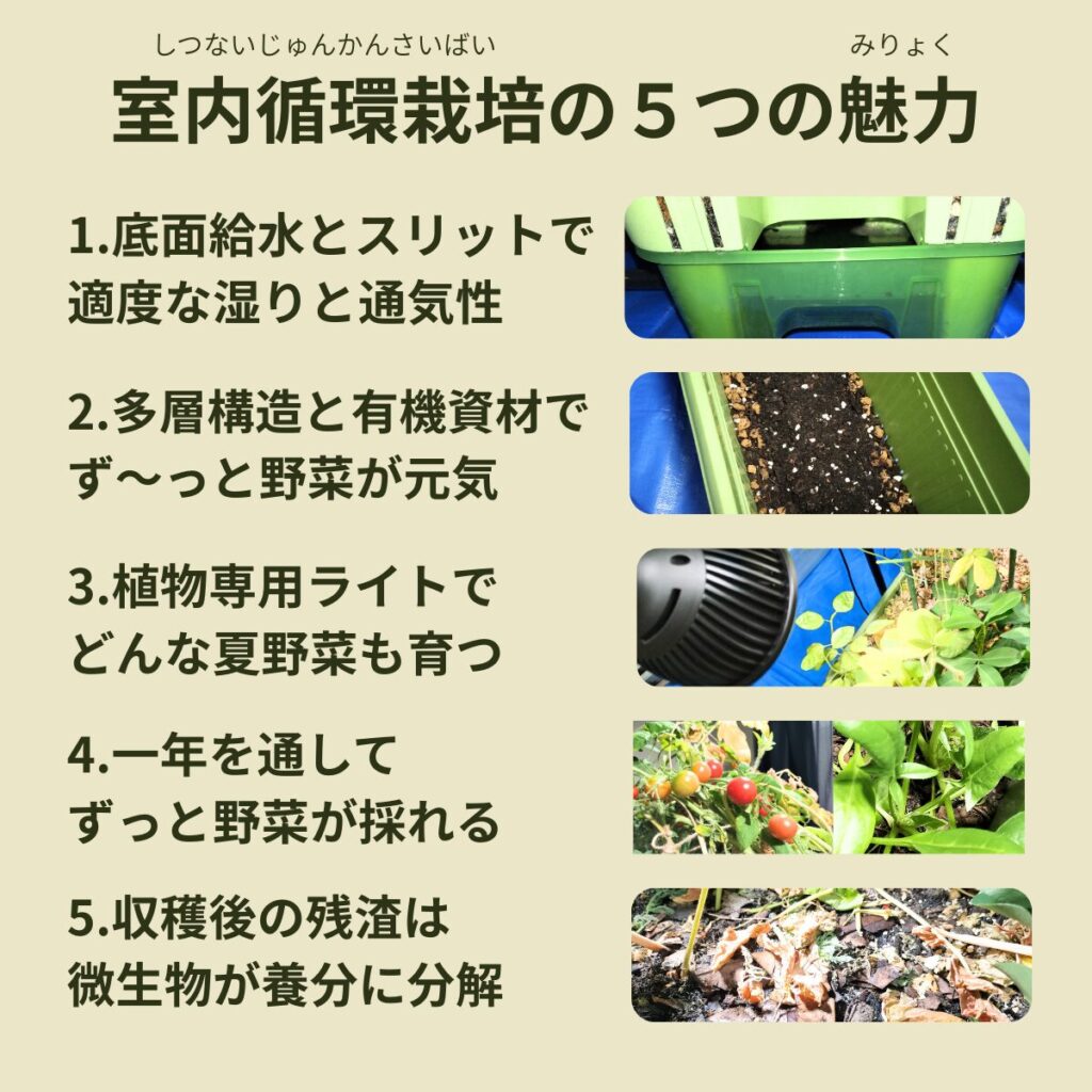 室内循環栽培の魅力の画像です